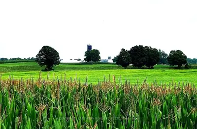 Farm in Stone Mills