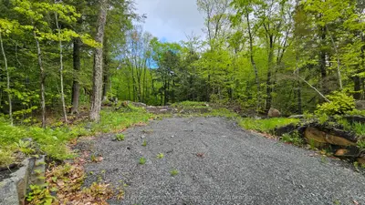 Vacant Land in McDougall