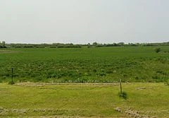 3882 Rainham Road, Haldimand, ON N0A 1L0