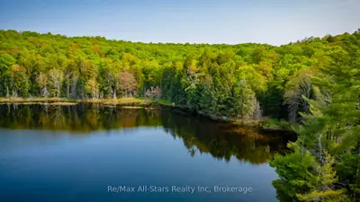 Vacant Land in Lake of Bays