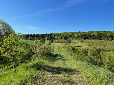 Vacant Land in Burk's Falls