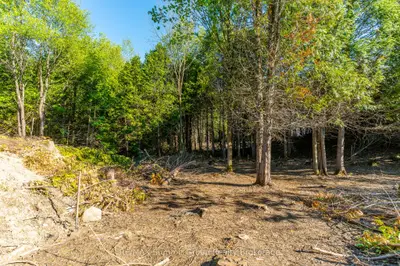 Vacant Land in Chatsworth