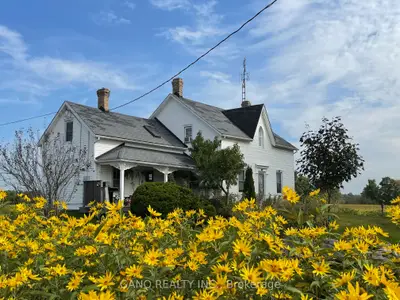 Farm in Brant