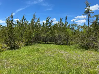 Vacant Land in Stone Mills