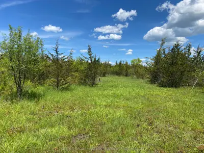 Vacant Land in Stone Mills