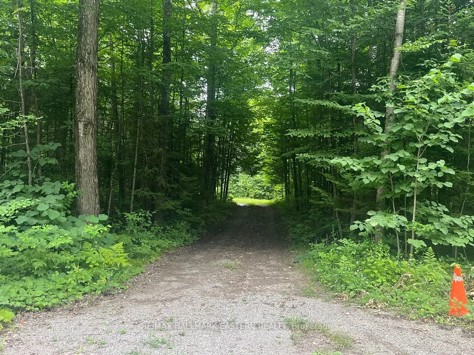 132 Maritime Road, Kawartha Lakes, ON K0M 2B0
