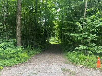 Vacant Land in Kawartha Lakes