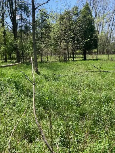 Vacant Land in Middlesex Centre