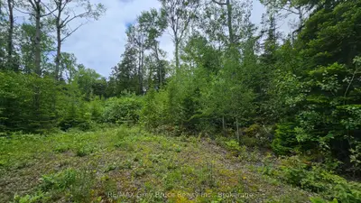 Vacant Land in Northern Bruce Peninsula