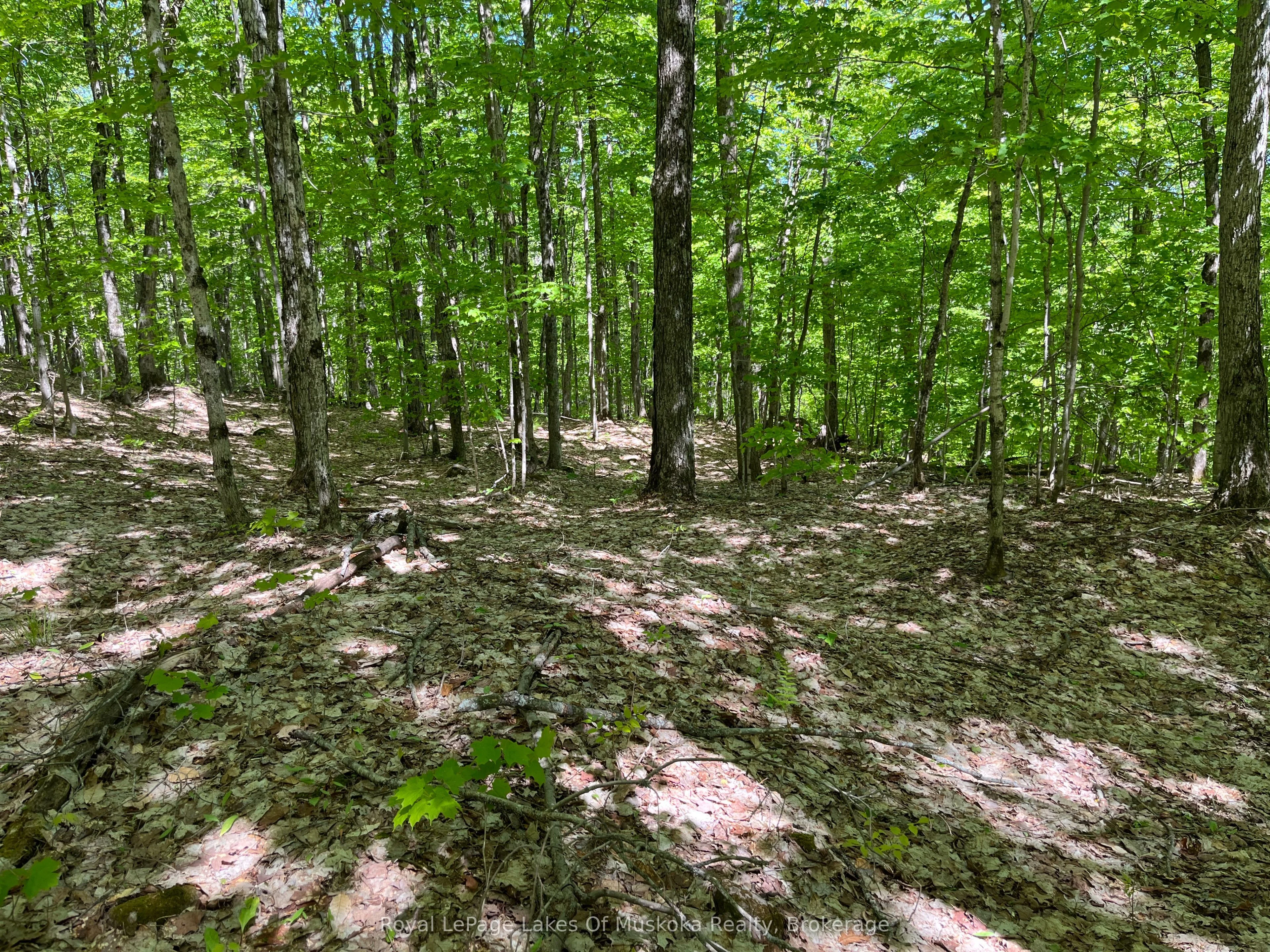LOT 40 SUNSET Ridge, Huntsville, ON P1H 2J2