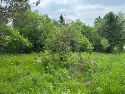 Vacant Land in Magnetawan
