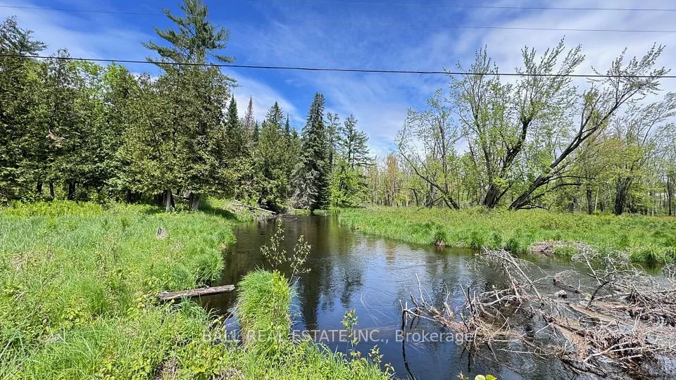 2348 Northeys Bay Road, North Kawartha, On K0l 2h0