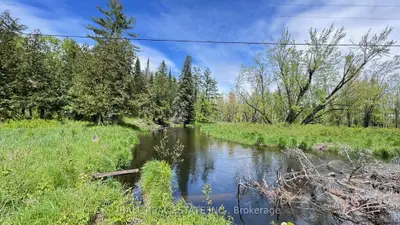 Vacant Land in North Kawartha