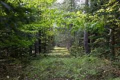 316 S Mary Lake Road, Huntsville, ON P0B 1L0