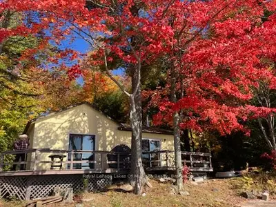 Detached in Georgian Bay