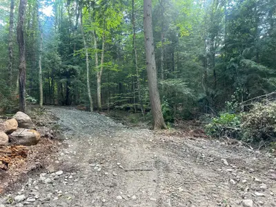 Vacant Land in Algonquin Highlands