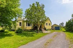 Detached in Loyalist