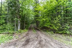 2524 Fern Glen Road, McMurrich/Monteith, ON P0A 1Y0