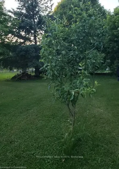 Vacant Land in Northern Bruce Peninsula