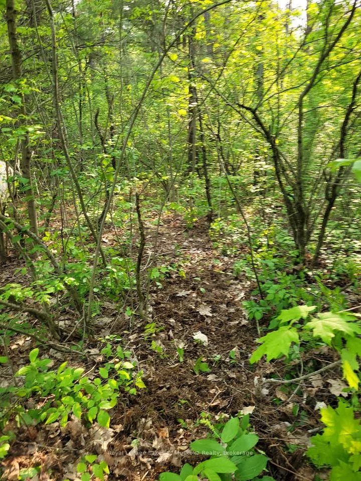 00 South Portage Road, Lake Of Bays, On P0a 1h0