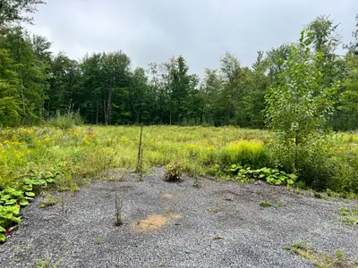 Vacant Land in Orleans - Cumberland and Area