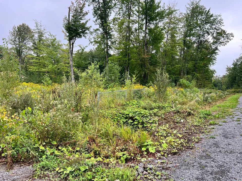 1610 Kinsella Drive, Orleans - Cumberland And Area, On K4c 1a9