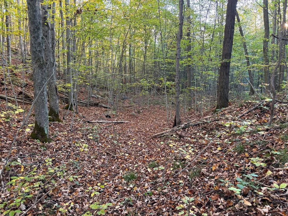 PT LT 29-30 Naphan Road, Tyendinaga, ON K0K 2Y0