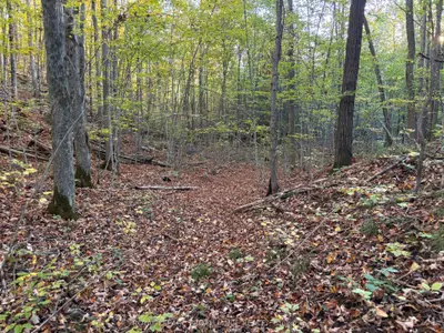Vacant Land in Tyendinaga