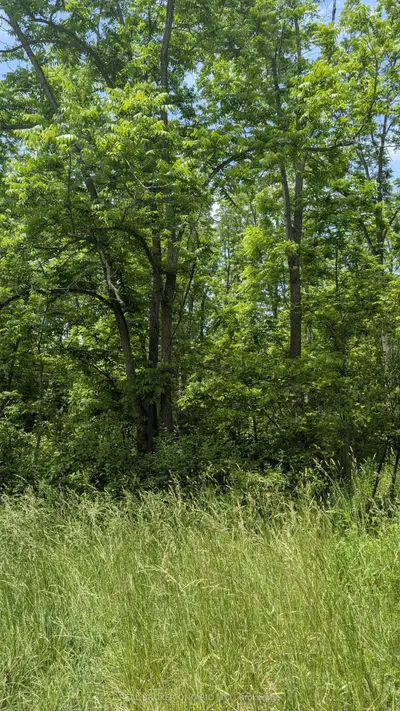 Vacant Land in Haldimand