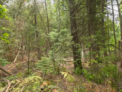 Vacant Land in Kawartha Lakes