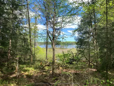 Vacant Land in Parry Sound Remote Area