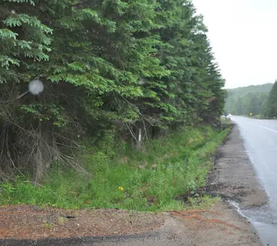 Vacant Land in Lake of Bays
