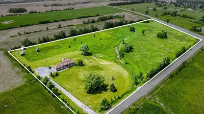 Detached in Alfred and Plantagenet