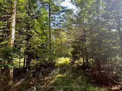 Vacant Land in Dysart et al