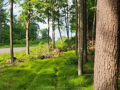 1680 Calabogie Road, Mcnab/braeside, On K0a 1g0