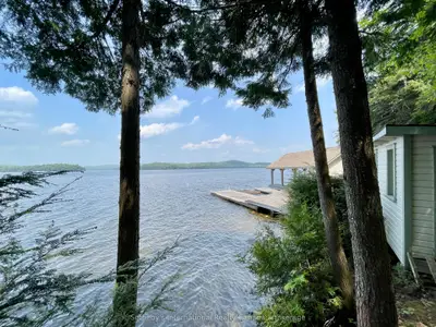 Detached in Lake of Bays