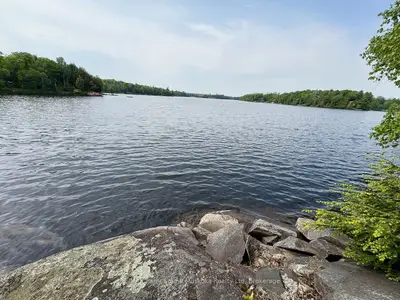Vacant Land in Whitestone