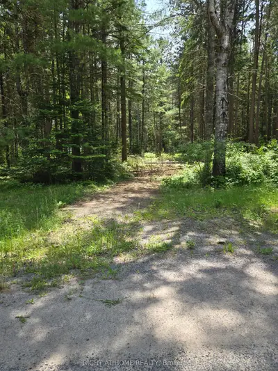 Vacant Land in Greater Madawaska