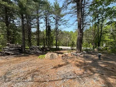 Vacant Land in Dysart et al