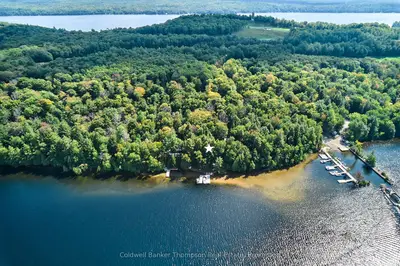 Detached in Lake of Bays