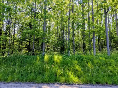 Vacant Land in Central Huron