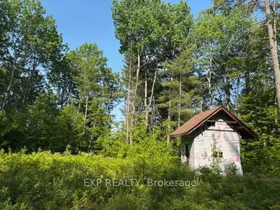Vacant Land in Madawaska Valley