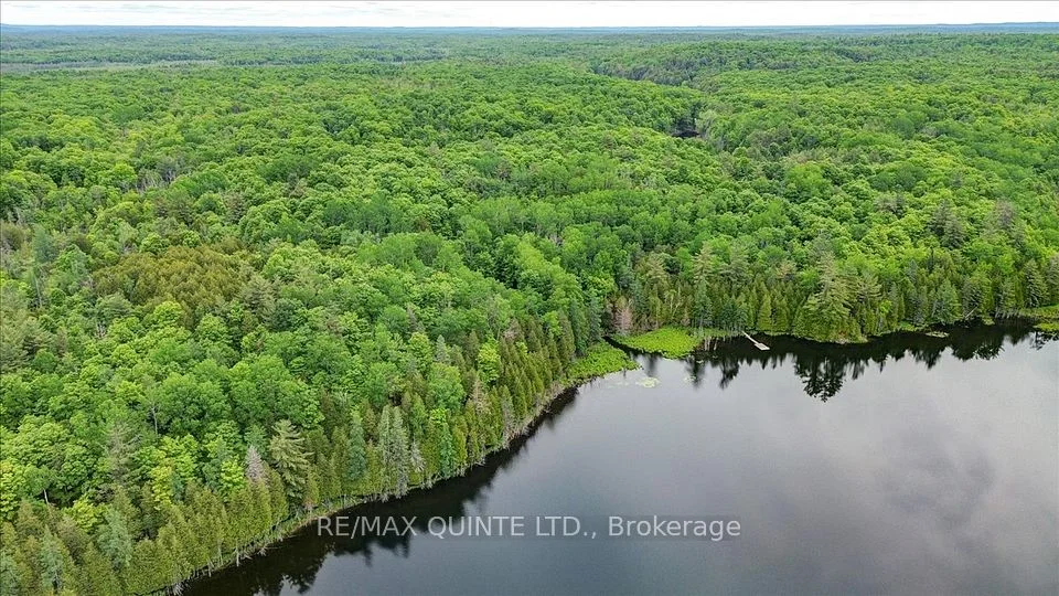 6798 Old Hastings Road, Tudor & Cashel, ON K0K 1Y0