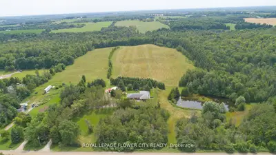 Detached in Erin