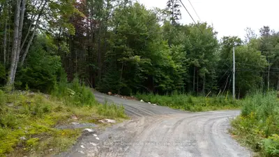 Vacant Land in Huntsville