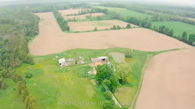Farm in West Grey
