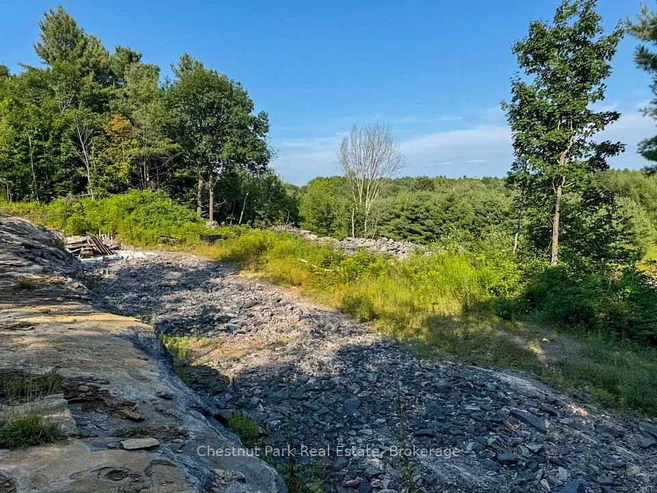 1681 Muskoka Beach Road, Bracebridge, On P1p 1r1