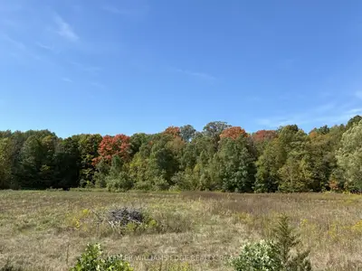 Vacant Land in Stone Mills