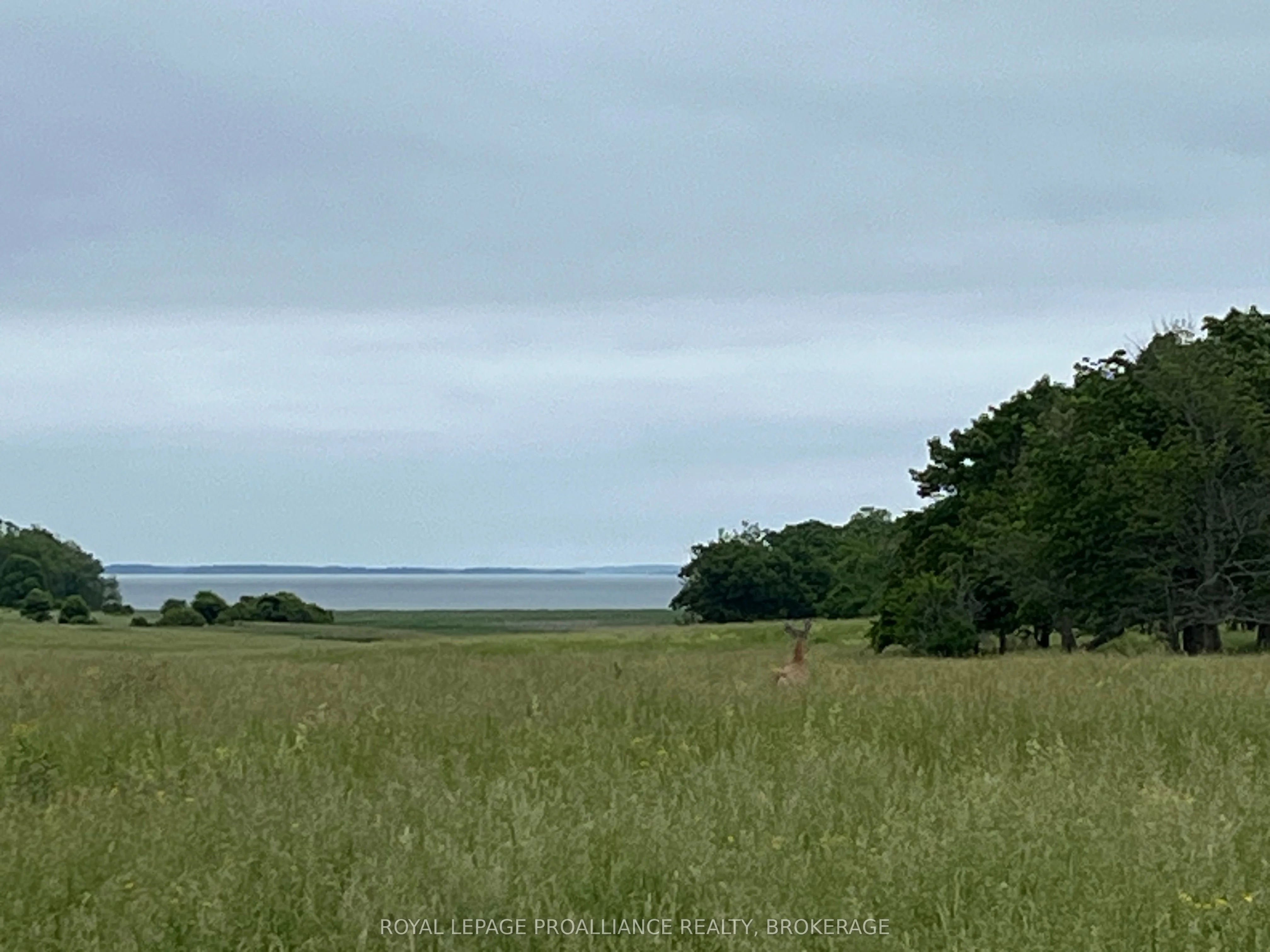 15 Irvine Bay Lane, Frontenac Islands, ON K0H 2Y0