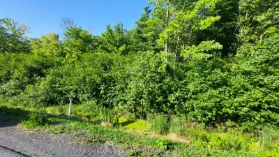 Vacant Land in North Stormont
